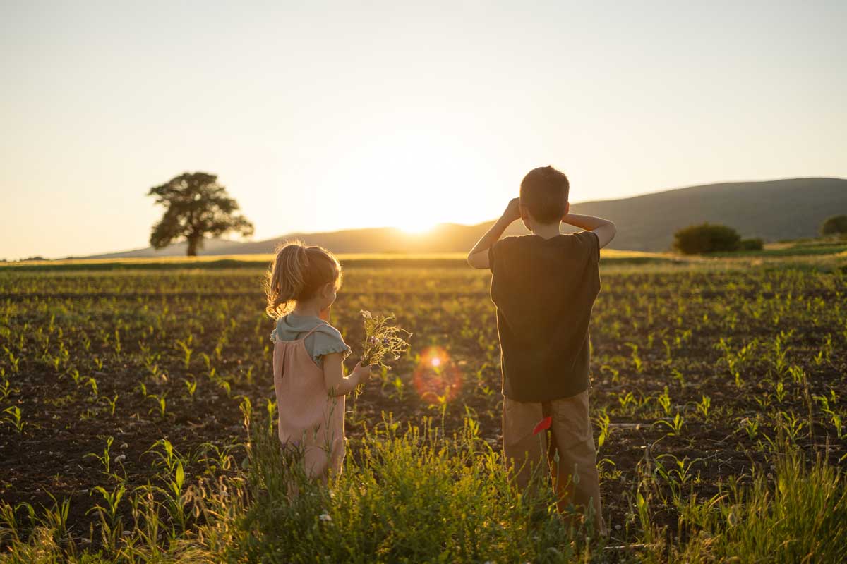 Two children watching the sunset from a field