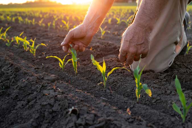 Grow sustainably 2up card Grow sustainably 2up card