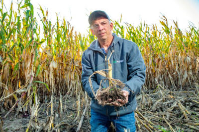 Regen Ag Farmer with corn stalk Regen Ag Farmer with corn stalk