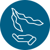 Soybean Icon with Hand