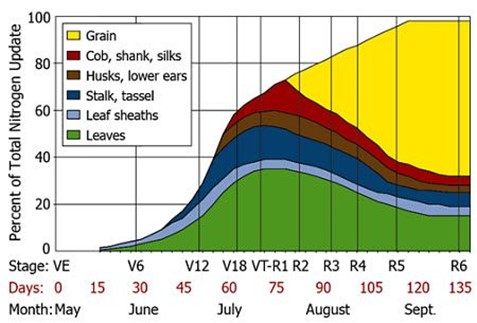 nitrogen application timing - in page