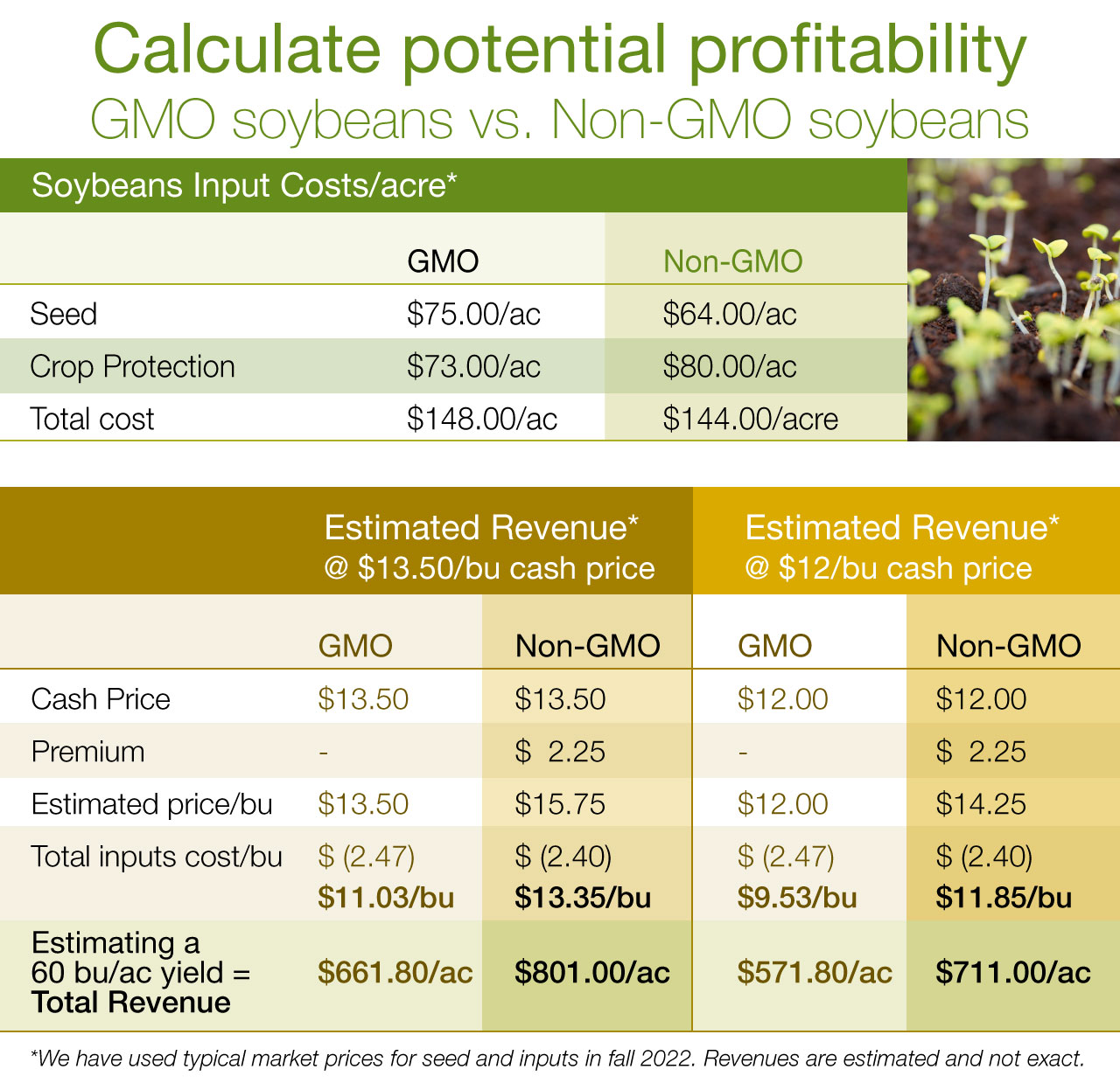 A snapshot of a revenue calculator 