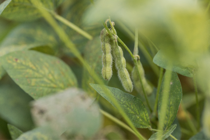 SourcePoint Commodity promo image SourcePoint Commodity promo image