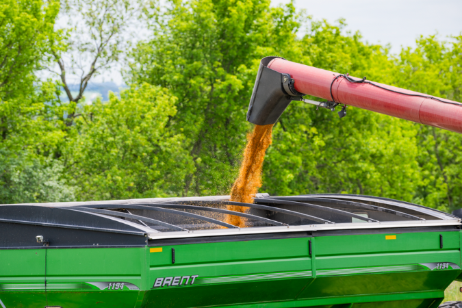 Camelina auger image promo Camelina auger image promo