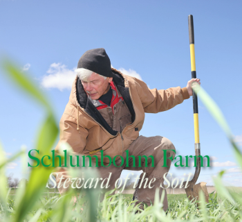 Schlumbohm preview image Schlumbohm preview image